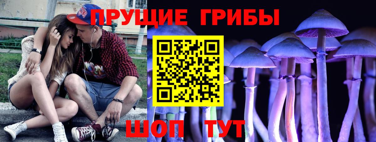 Псилоцибиновые грибы мухоморы Зерноград