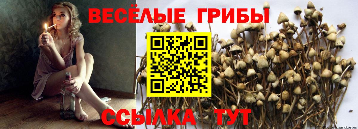 Зерноград  Галлюциногенные грибы MAGIC MUSHROOMS  Вход с VPN 